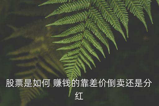 股票是如何 賺錢(qián)的靠差價(jià)倒賣(mài)還是分紅