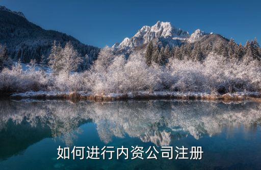 如何進行內資公司注冊