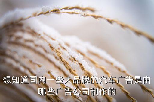 想知道國內一些大品牌的汽車廣告是由哪些廣告公司制作的