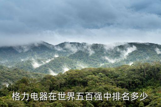 格力電器在世界五百?gòu)?qiáng)中排名多少