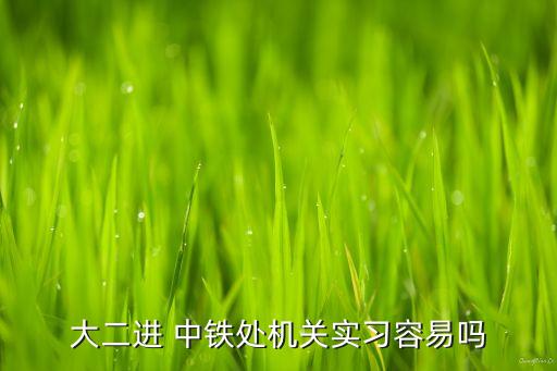 大二進 中鐵處機關(guān)實習容易嗎