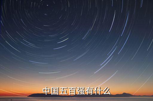 中國(guó)五百強(qiáng)有什么