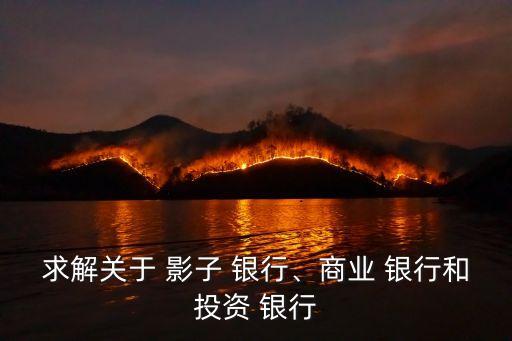 求解關(guān)于 影子 銀行、商業(yè) 銀行和投資 銀行