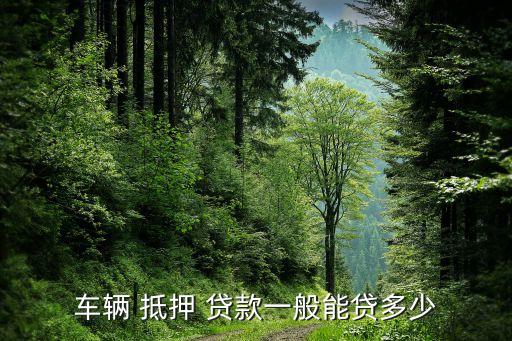 車(chē)輛 抵押 貸款一般能貸多少