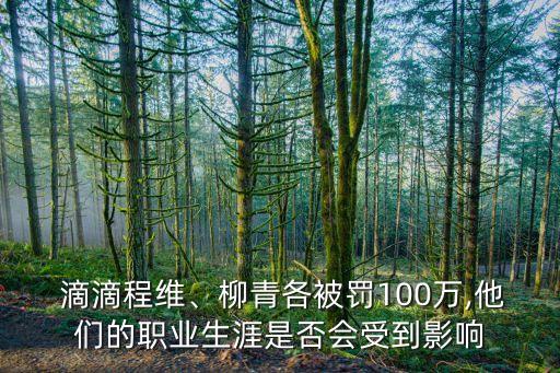  滴滴程維、柳青各被罰100萬(wàn),他們的職業(yè)生涯是否會(huì)受到影響