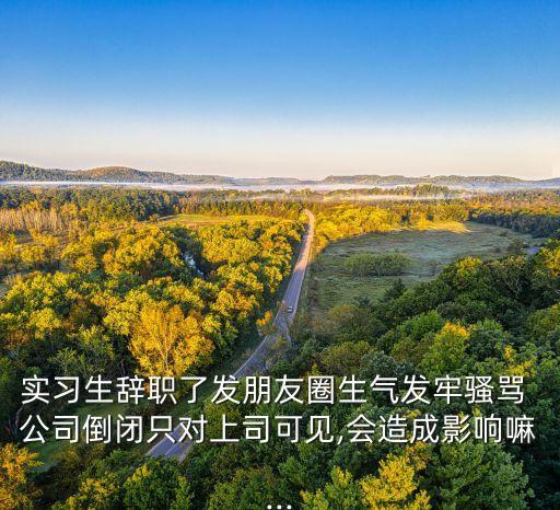 實(shí)習(xí)生辭職了發(fā)朋友圈生氣發(fā)牢騷罵 公司倒閉只對(duì)上司可見(jiàn),會(huì)造成影響嘛...