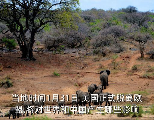 當地時間1月31日 英國正式脫離歐盟,將對世界和中國產生哪些影響