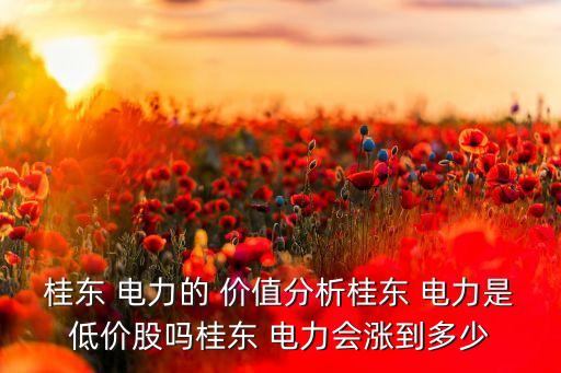 桂東 電力的 價(jià)值分析桂東 電力是低價(jià)股嗎桂東 電力會漲到多少
