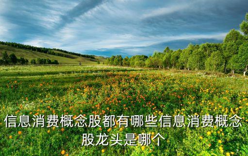 信息消費(fèi)概念股都有哪些信息消費(fèi)概念股龍頭是哪個