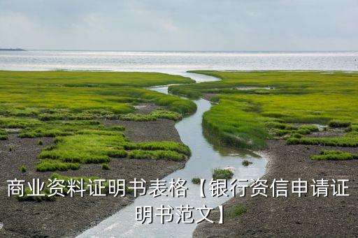商業(yè)資料證明書表格【銀行資信申請證明書范文】