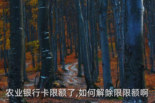 農行和股票賬戶限制,股票賬戶限制交易是什么意思