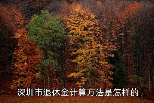 深圳市價格調節(jié)基金,價格調節(jié)基金什么時候取消的