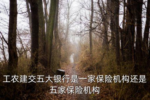 工農(nóng)建交五大銀行是一家保險機構(gòu)還是五家保險機構(gòu)