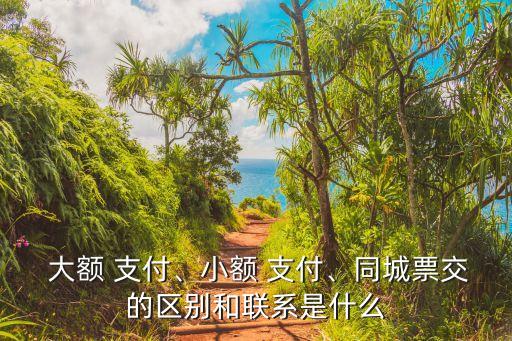  大額 支付、小額 支付、同城票交的區(qū)別和聯(lián)系是什么