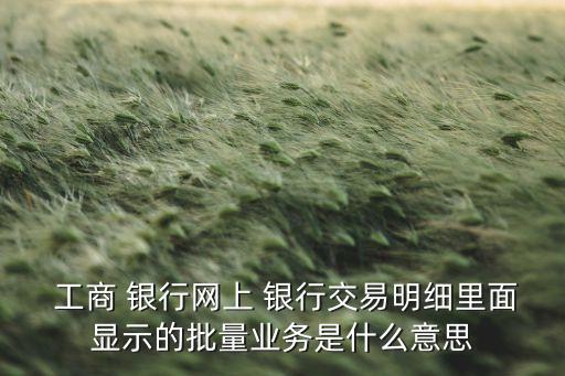 工商銀行資產(chǎn)負債表分析