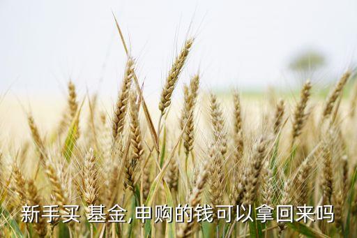 新手買(mǎi) 基金,申購(gòu)的錢(qián)可以拿回來(lái)嗎