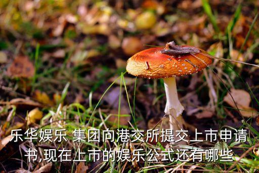 樂華娛樂 集團(tuán)向港交所提交上市申請書,現(xiàn)在上市的娛樂公式還有哪些