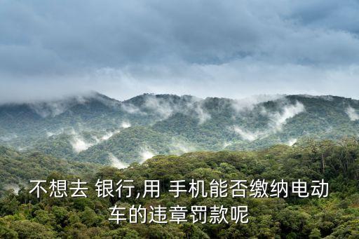 不想去 銀行,用 手機(jī)能否繳納電動(dòng)車(chē)的違章罰款呢