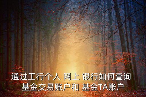 通過(guò)工行個(gè)人 網(wǎng)上 銀行如何查詢(xún) 基金交易賬戶(hù)和 基金TA賬戶(hù)