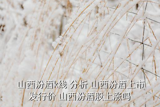  山西汾酒k線(xiàn) 分析 山西汾酒上市發(fā)行價(jià) 山西汾酒股上漲嗎