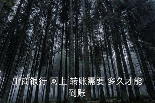 工商銀行 網上 轉賬需要 多久才能到賬