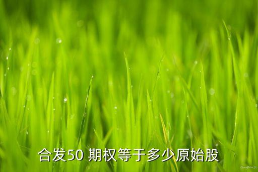 一個期權對應多少股票,一份期權對應多少股