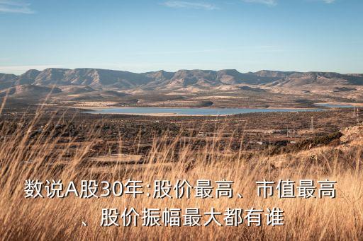 數(shù)說A股30年:股價最高、市值最高、股價振幅最大都有誰