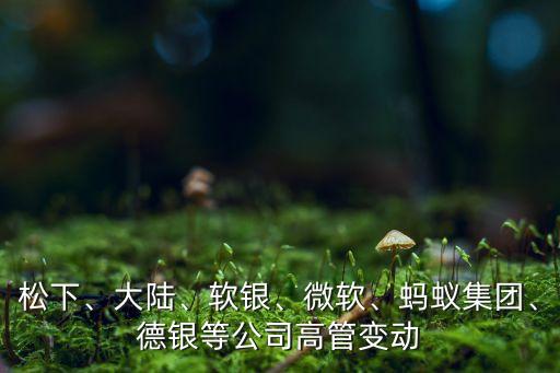 松下、大陸、軟銀、微軟、螞蟻集團(tuán)、德銀等公司高管變動(dòng)