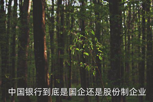 中國銀行屬于什么性質(zhì),小規(guī)模公司開戶哪個(gè)銀行好