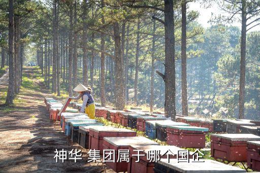 神東煤炭集團股票代碼,國能神東煤炭集團有限責任公司