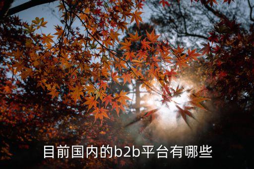 目前國內(nèi)的b2b平臺(tái)有哪些