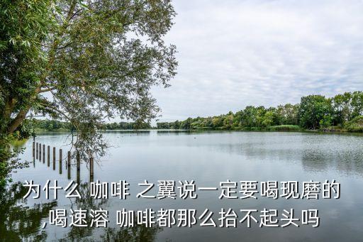 為什么 咖啡 之翼說(shuō)一定要喝現(xiàn)磨的,喝速溶 咖啡都那么抬不起頭嗎