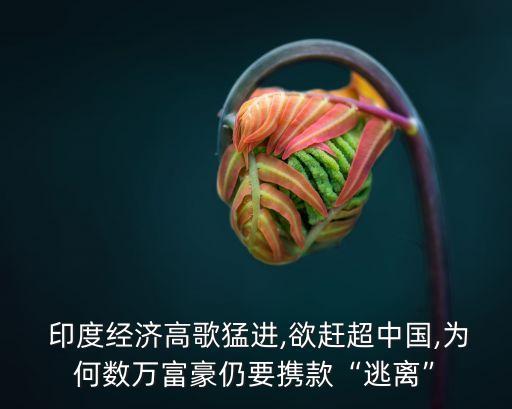  印度經(jīng)濟(jì)高歌猛進(jìn),欲趕超中國(guó),為何數(shù)萬(wàn)富豪仍要攜款“逃離”