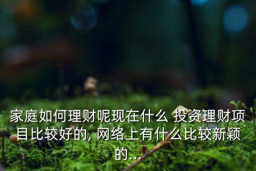 家庭如何理財呢現在什么 投資理財項目比較好的, 網絡上有什么比較新穎的...