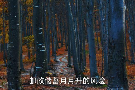郵政儲蓄月月升的風險