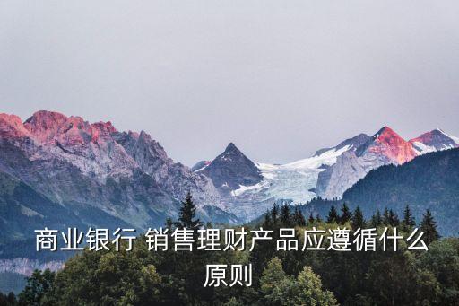 商業(yè)銀行銷(xiāo)售管理辦法