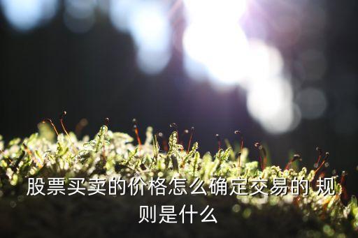  股票買(mǎi)賣的價(jià)格怎么確定交易的 規(guī)則是什么