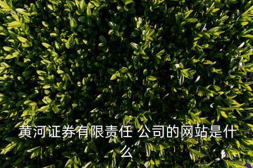 黃河證券有限責任 公司的網站是什么