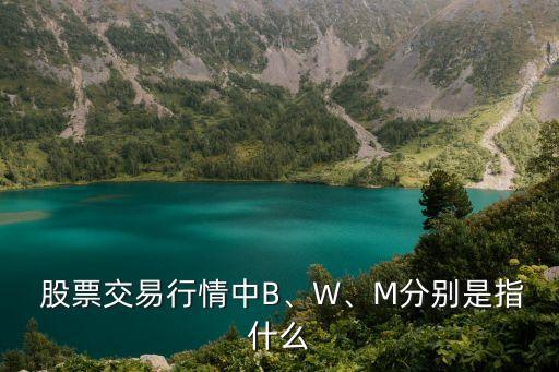  股票交易行情中B、W、M分別是指什么