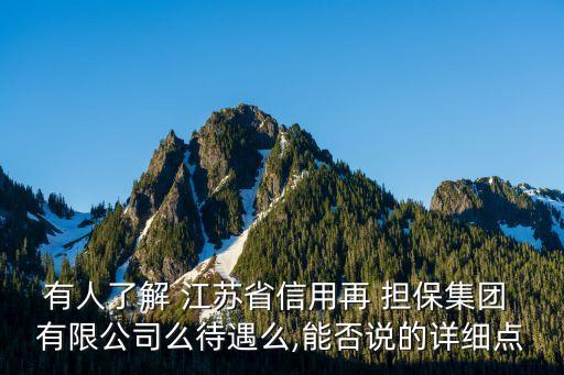 有人了解 江蘇省信用再 擔(dān)保集團(tuán) 有限公司么待遇么,能否說的詳細(xì)點