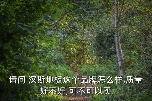 請(qǐng)問(wèn) 漢斯地板這個(gè)品牌怎么樣,質(zhì)量好不好,可不可以買
