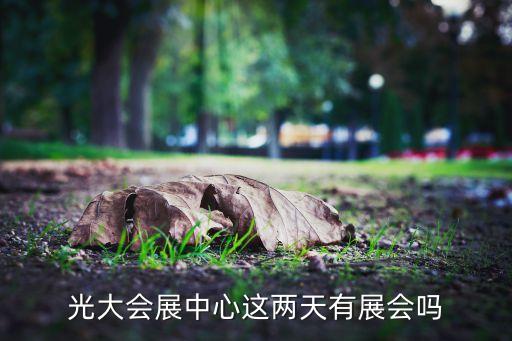 中國(guó)上海國(guó)際婚紗攝影器材展覽會(huì),上?；榧啍z影器材展2023時(shí)間