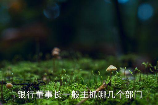  銀行董事長(zhǎng)一般主抓哪幾個(gè)部門(mén)
