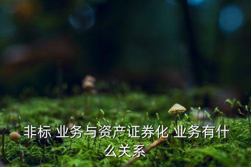 銀行非標業(yè)務涉稅,銀行維護涉稅信息業(yè)務是什么意思
