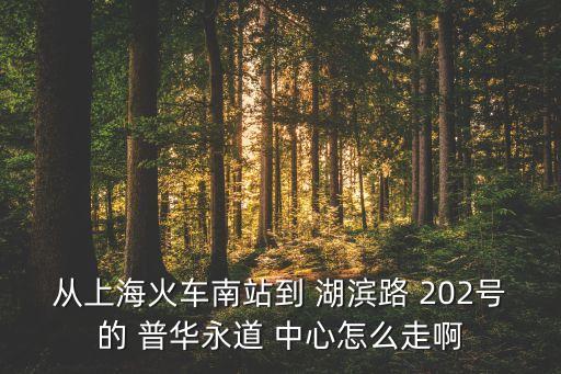 從上?；疖嚹险镜?湖濱路 202號(hào)的 普華永道 中心怎么走啊