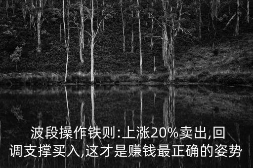  波段操作鐵則:上漲20%賣(mài)出,回調(diào)支撐買(mǎi)入,這才是賺錢(qián)最正確的姿勢(shì)