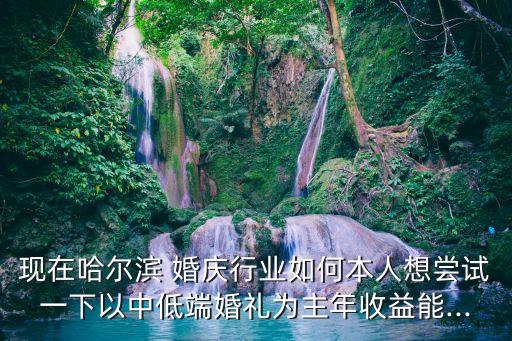 現在哈爾濱 婚慶行業(yè)如何本人想嘗試一下以中低端婚禮為主年收益能...