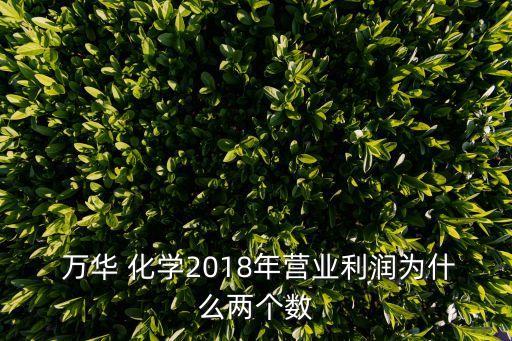  萬華 化學(xué)2018年?duì)I業(yè)利潤(rùn)為什么兩個(gè)數(shù)