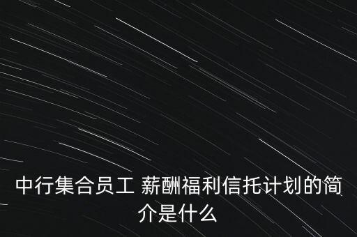 中行集合員工 薪酬福利信托計劃的簡介是什么