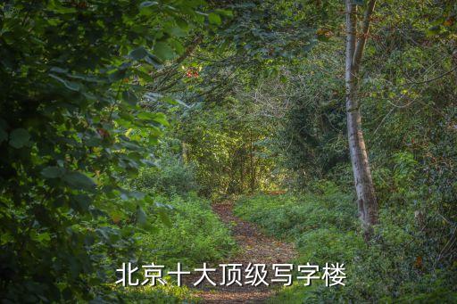  北京十大頂級(jí)寫(xiě)字樓